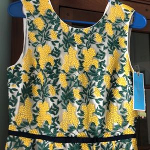 New Draper James Goldenrod Embroidery Dress